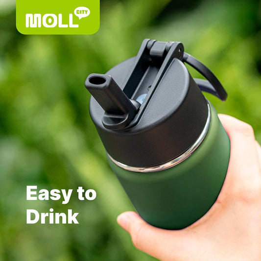 Stainless Steel Water Bottle 16 oz, Grass Green