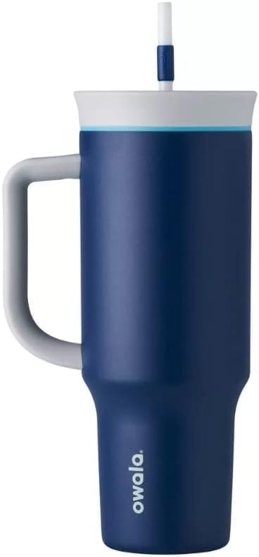 Owala FreeSip Tumbler Stainless Steel Water Bottle 40 oz Dreamy Field