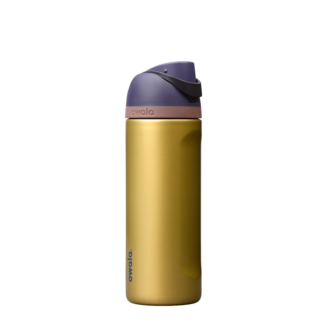 Owala FreeSip Stainless Steel Water Bottle 32 oz Dreamy Field