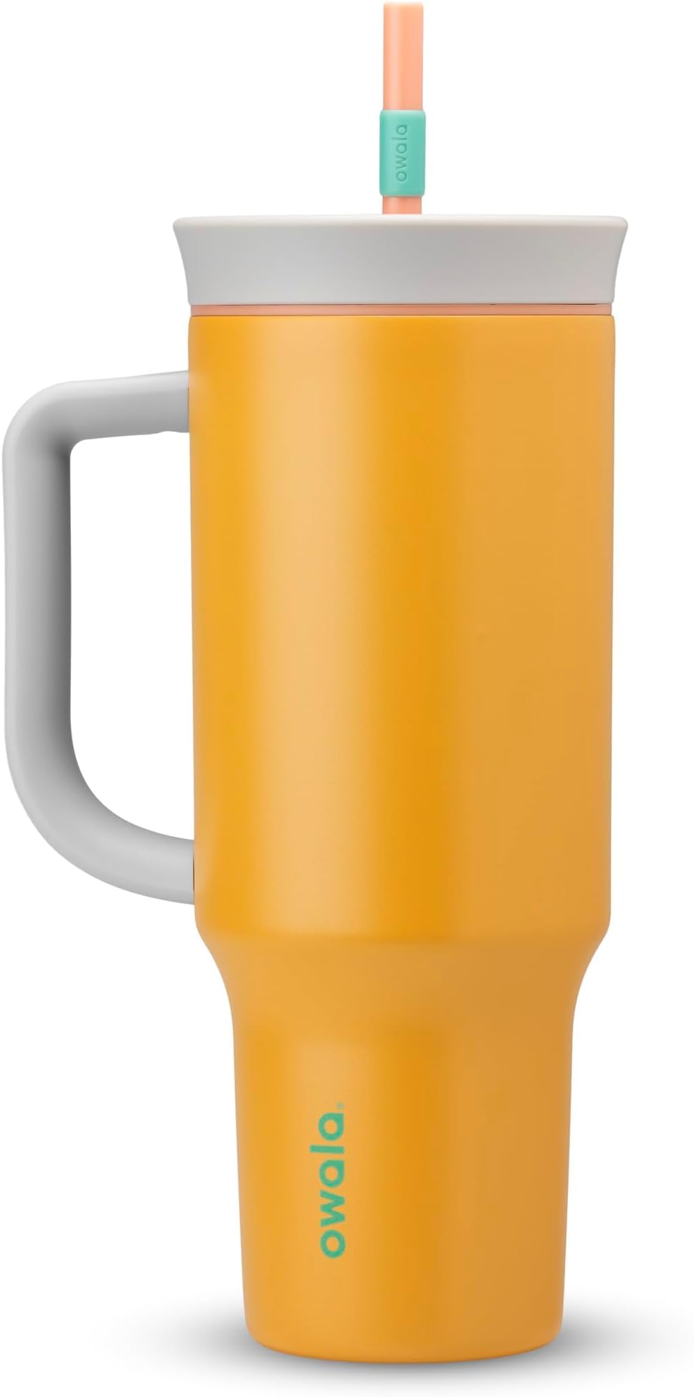 Owala FreeSip Tumbler Stainless Steel Water Bottle 40 oz Dreamy Field