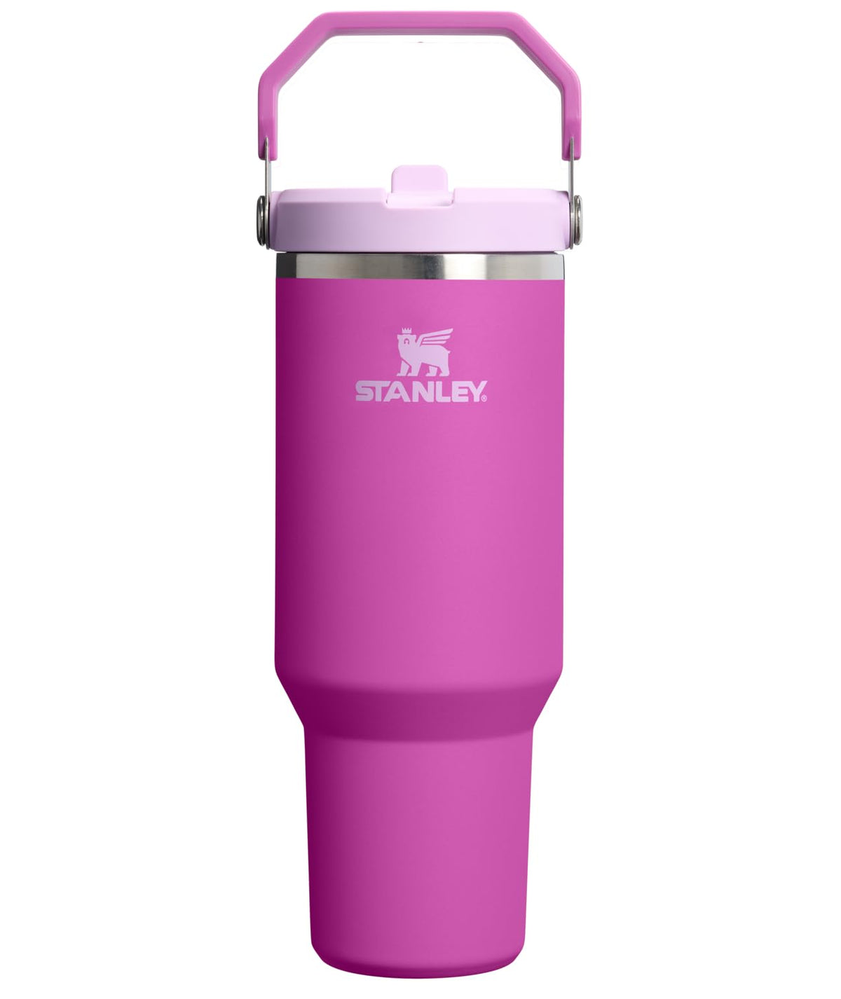 STANLEY IceFlow 2.0 Flip Straw Tumbler, 30 oz, Dried Pine
