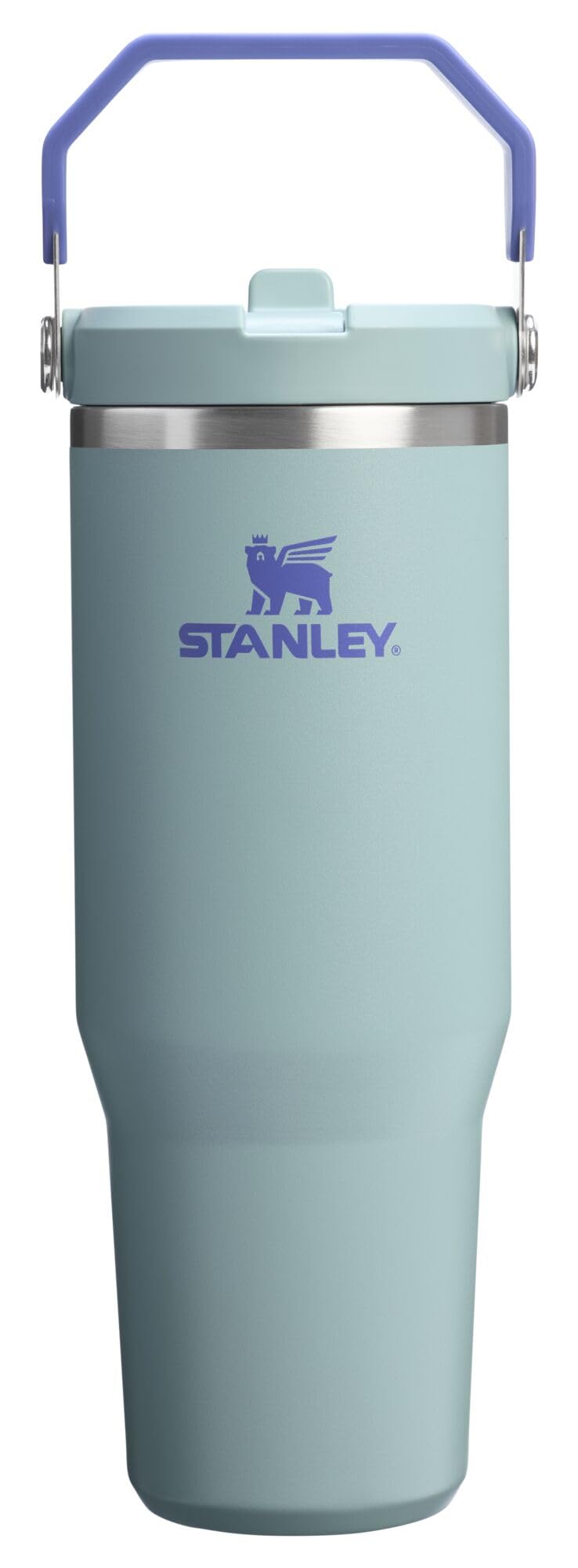 STANLEY IceFlow 2.0 Flip Straw Tumbler, 30 oz, Dried Pine