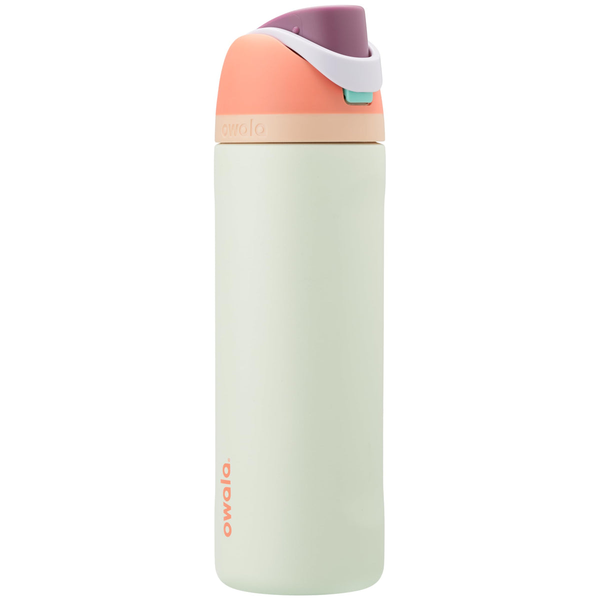 Owala FreeSip Stainless Steel Water Bottle 32 oz Dreamy Field