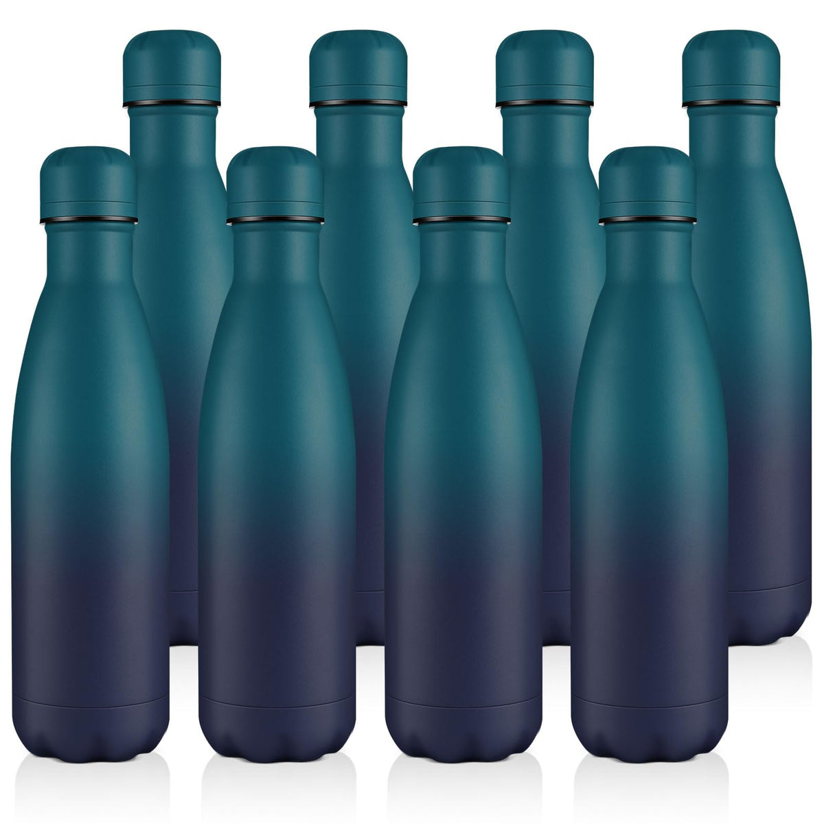 Volhoply 17oz Insulated Stainless Steel Water Bottle（Silver,1 Pack)