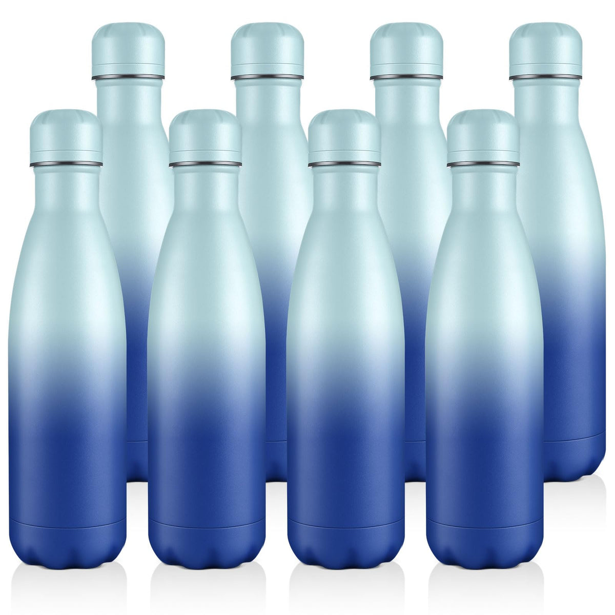 Volhoply 17oz Insulated Stainless Steel Water Bottle（Silver,1 Pack)