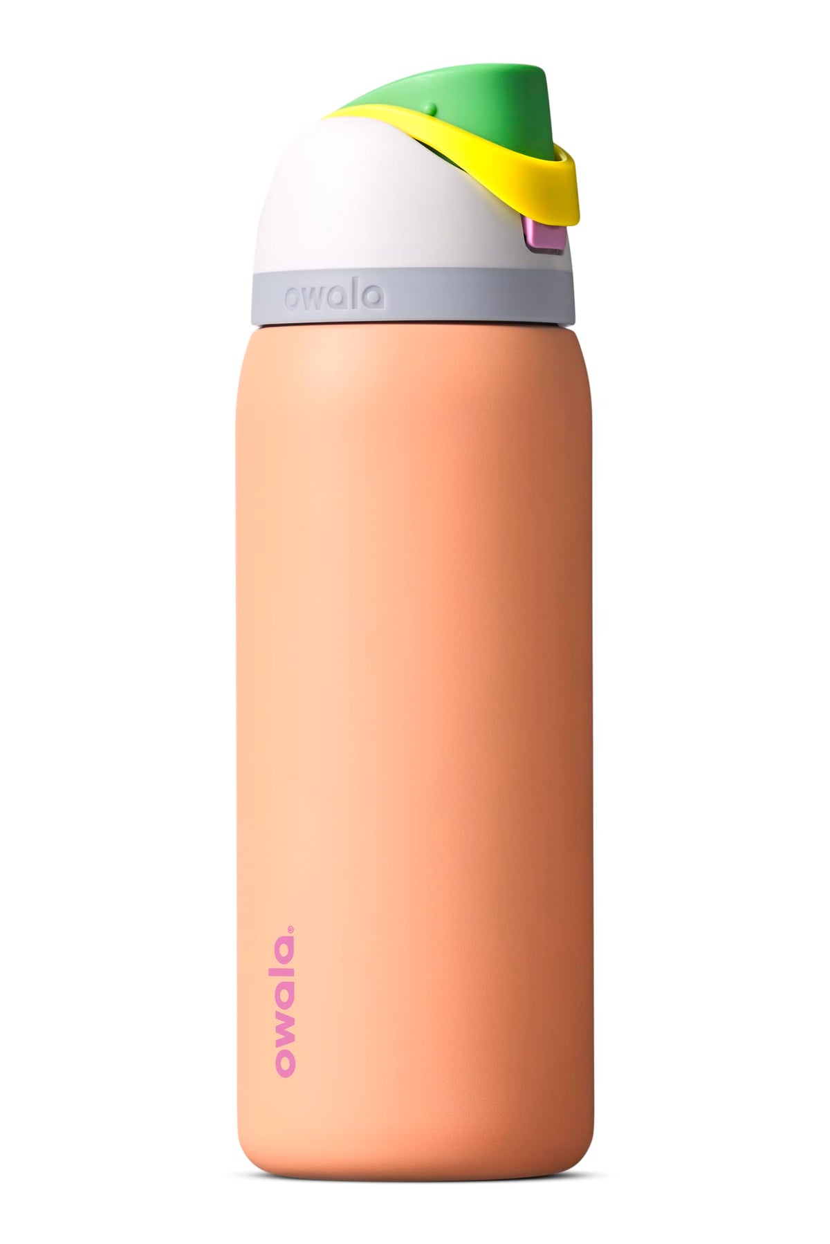 Owala FreeSip Stainless Steel Water Bottle 32 oz Dreamy Field