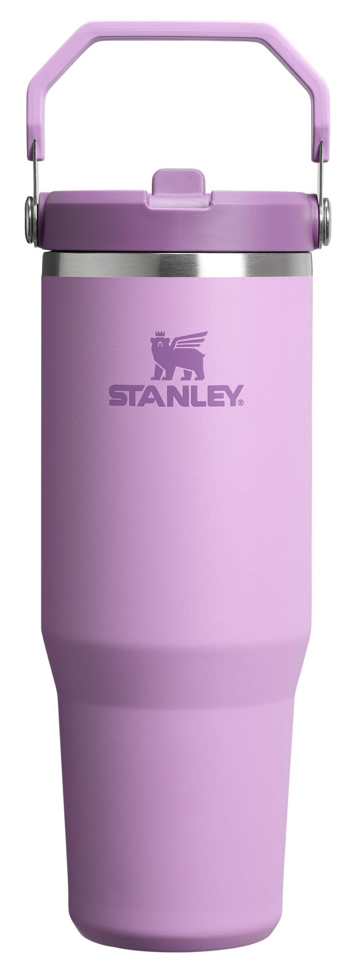 STANLEY IceFlow 2.0 Flip Straw Tumbler, 30 oz, Dried Pine