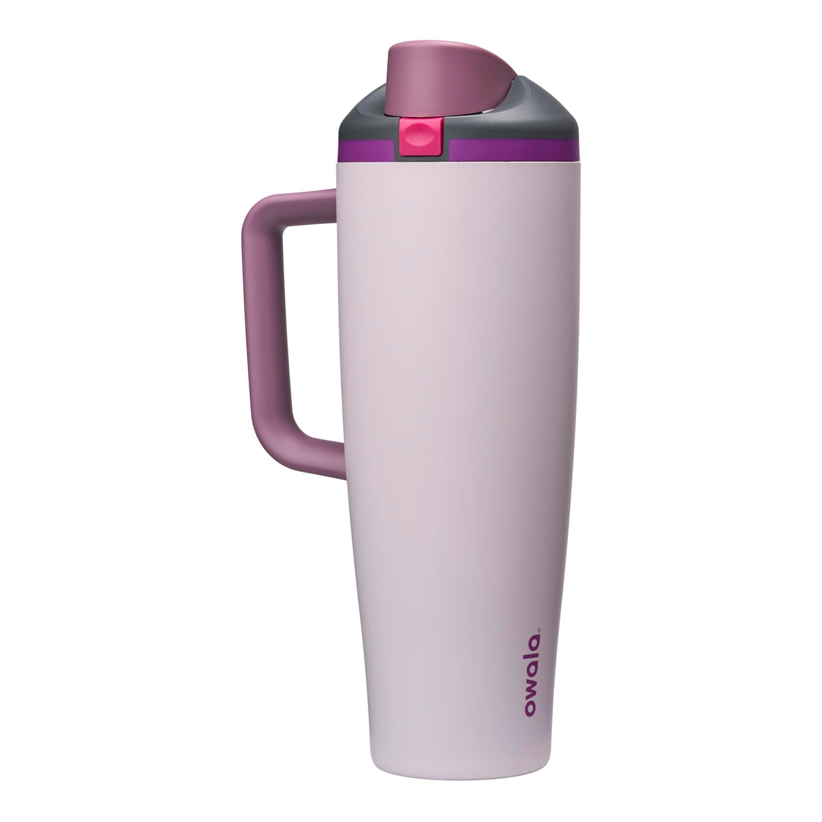 Owala FreeSip Tumbler Stainless Steel Water Bottle 40 oz Dreamy Field