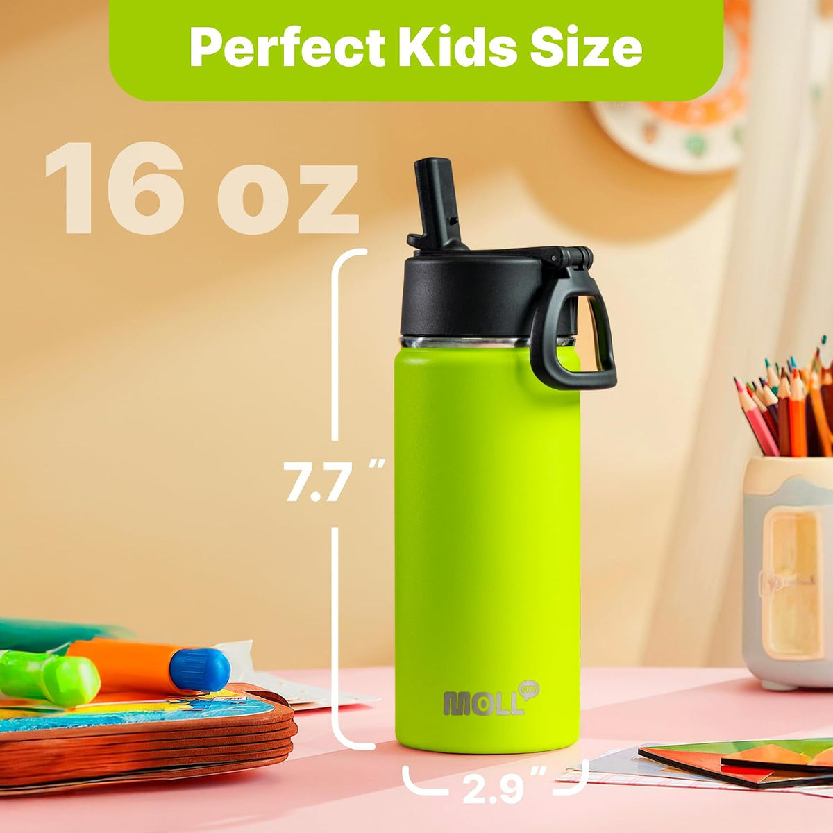 Stainless Steel Water Bottle 16 oz, Grass Green